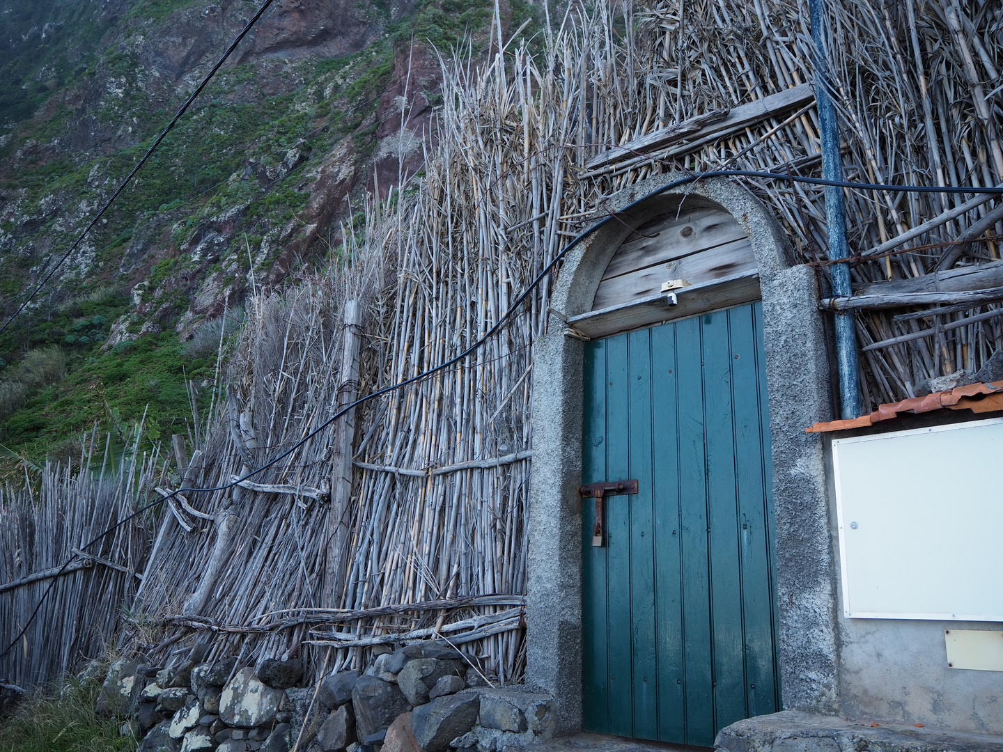 Land Of Flowers - Impressions of Madeira