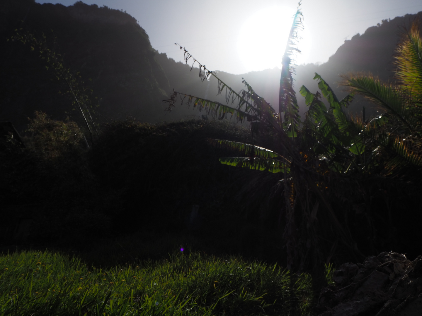 Land Of Flowers - Impressions of Madeira