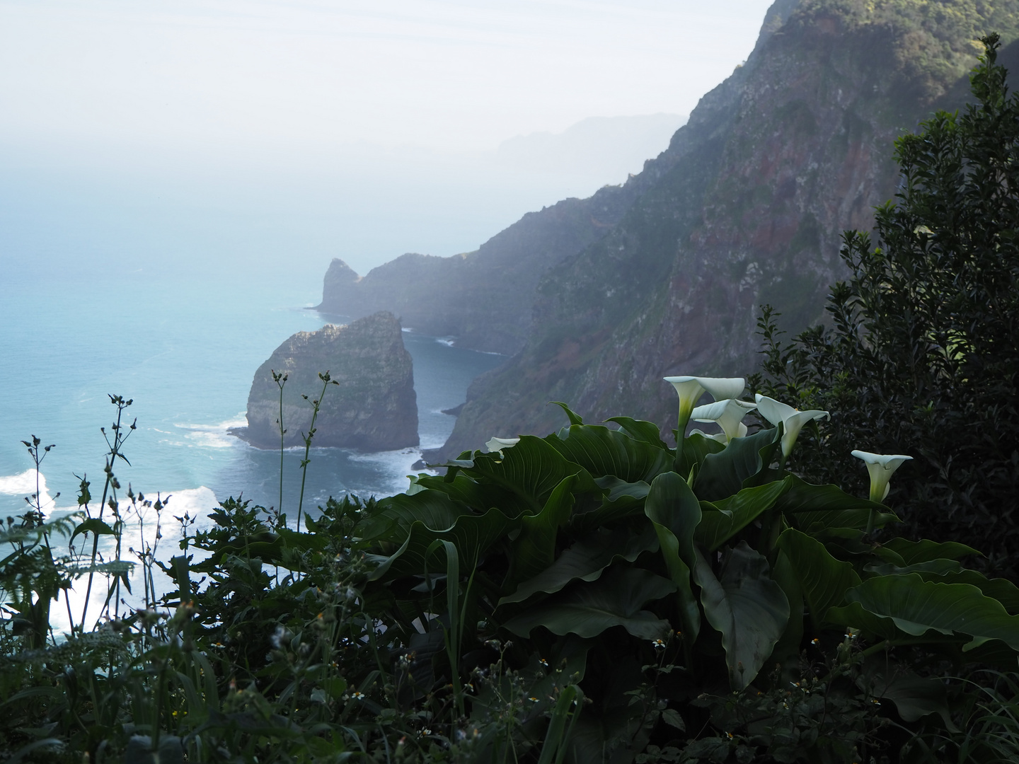 Land of Flowers - Impressions Of Madeira