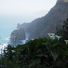 Land of Flowers - Impressions Of Madeira