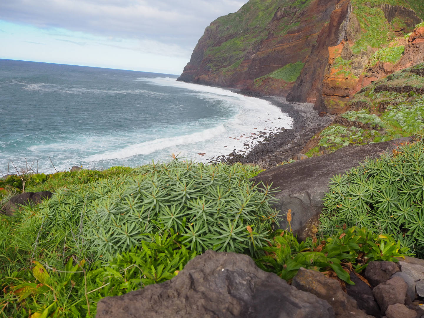 Land Of Flowers - Impressions Of Madeira