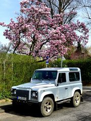 Land Rover im Frühling