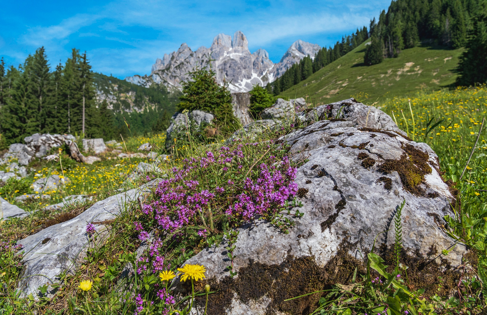 Land Salzburg ...Berglandschaften