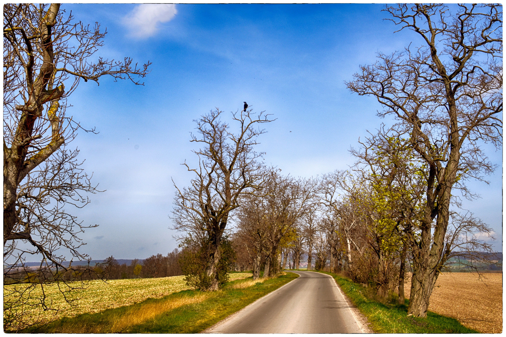 Land-Straße