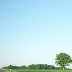 Land strasse in der Nähe eines Baumes