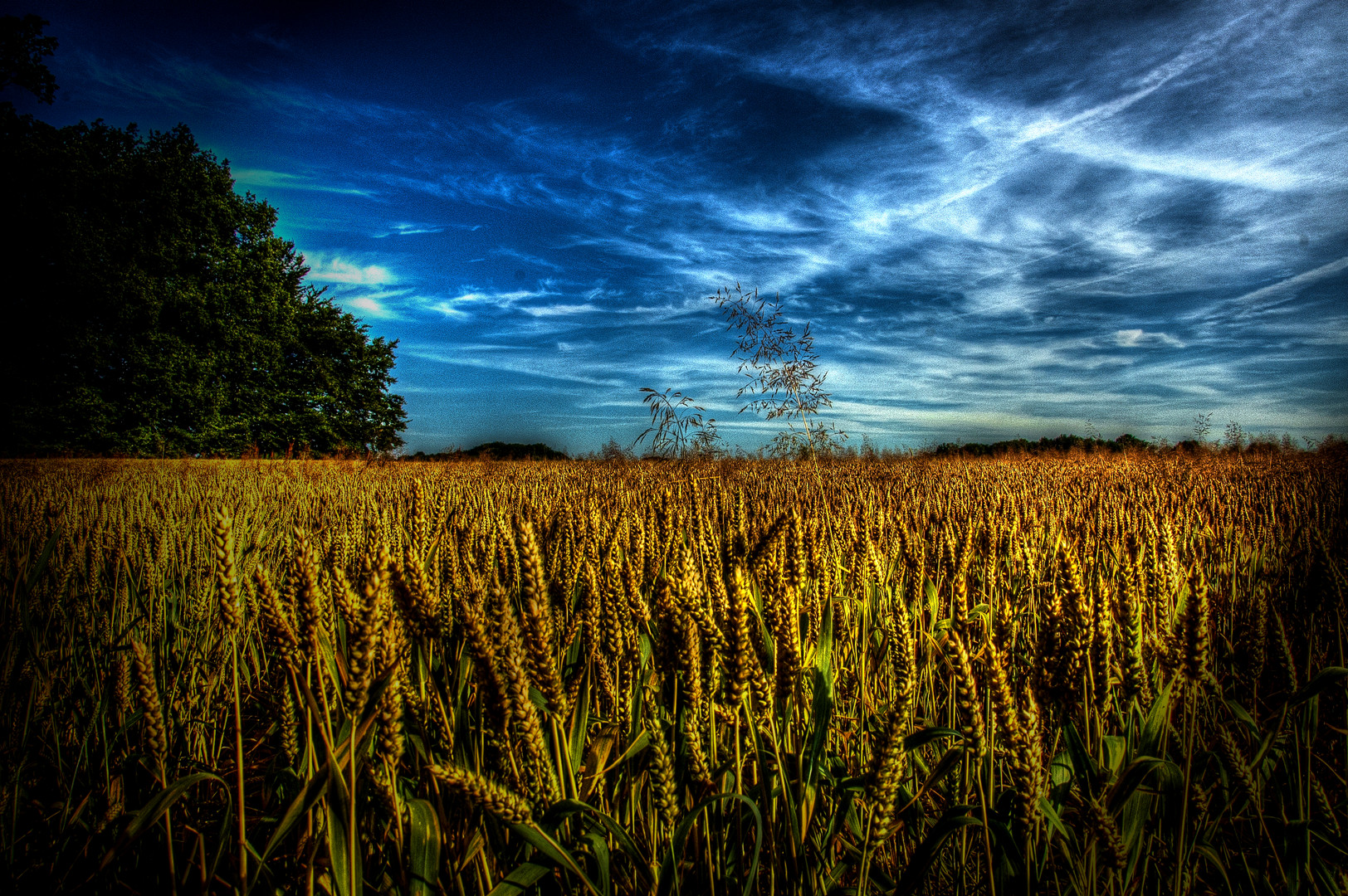 Land und Licht