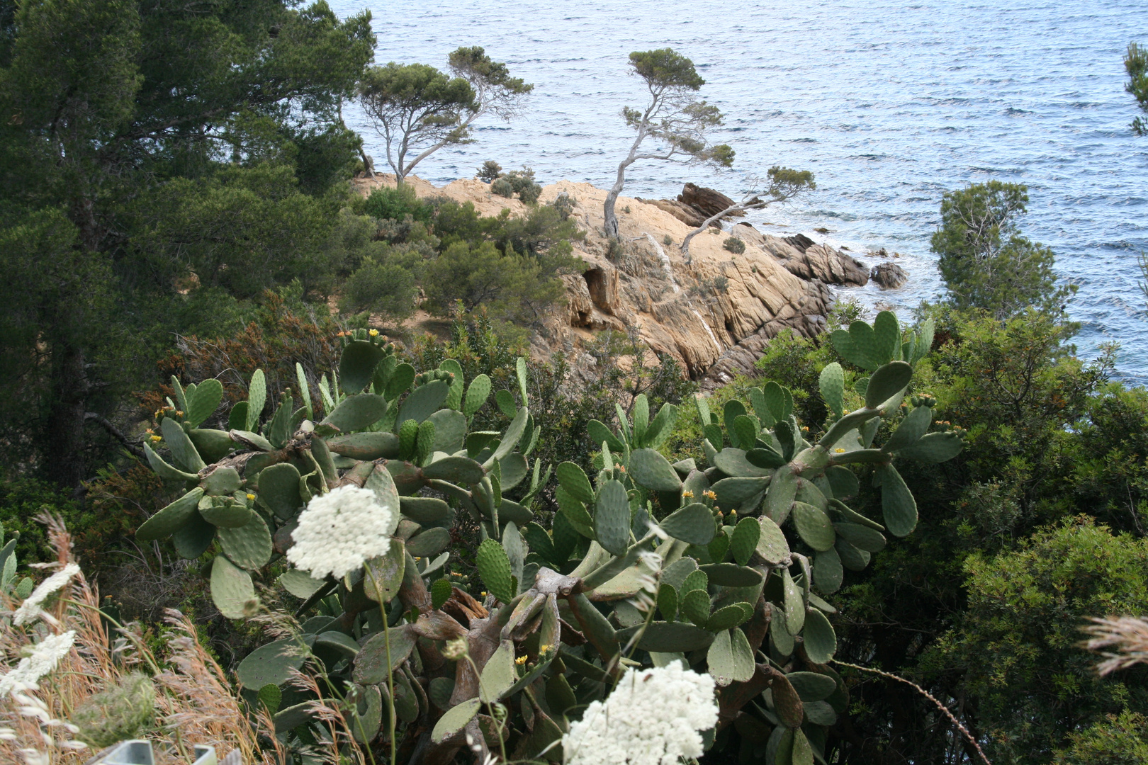 Land und Meer