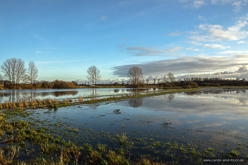 ~ Land unter ~