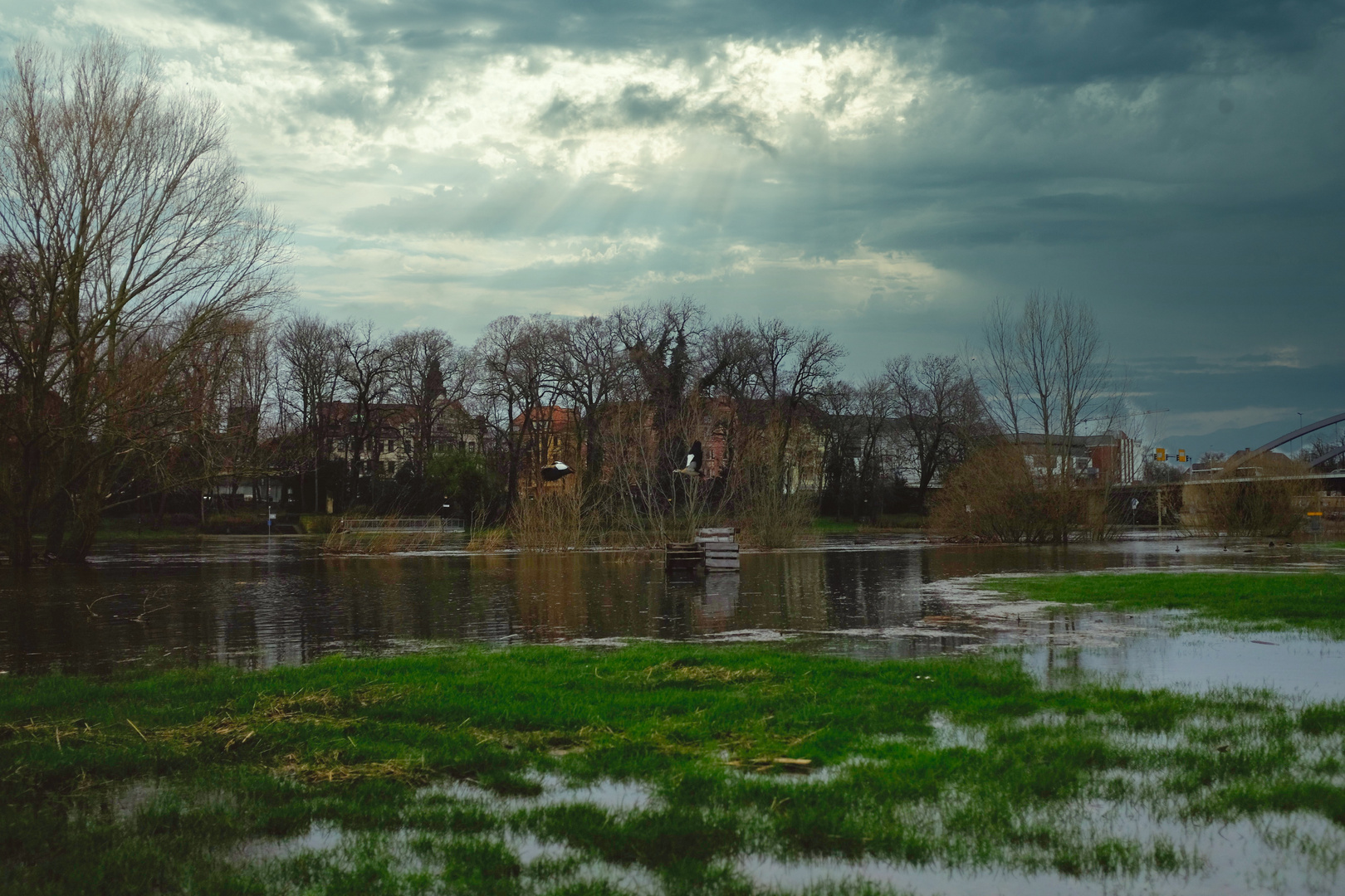 Land unter