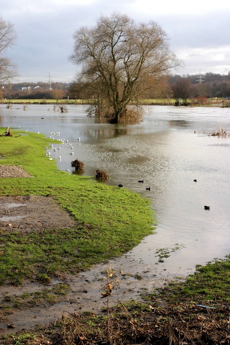 Land Unter