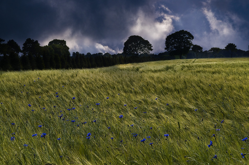 Land unter...