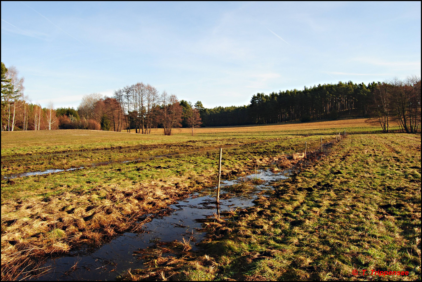 Land unter !