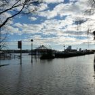 Land unter am Bonner Ufer