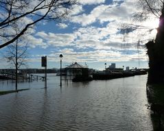 Land unter am Bonner Ufer