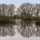 Land unter am Rheim