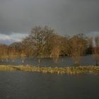 Land unter an der Bode.