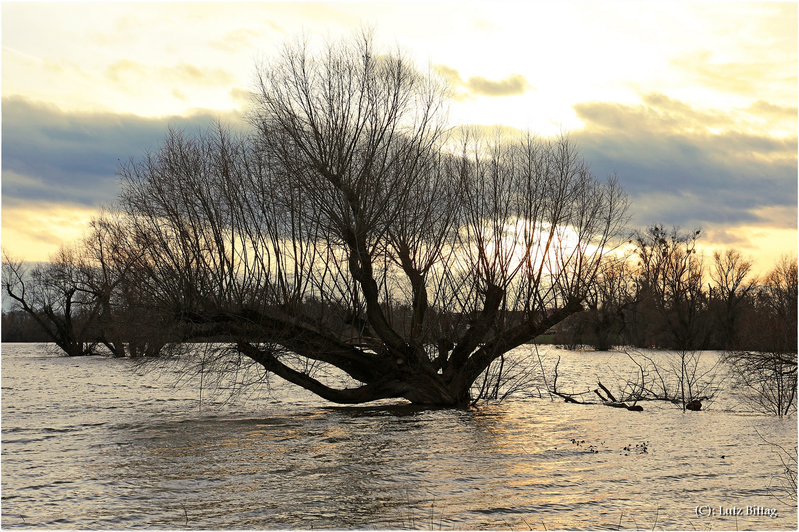 Land unter an der Elbe