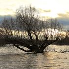 Land unter an der Elbe