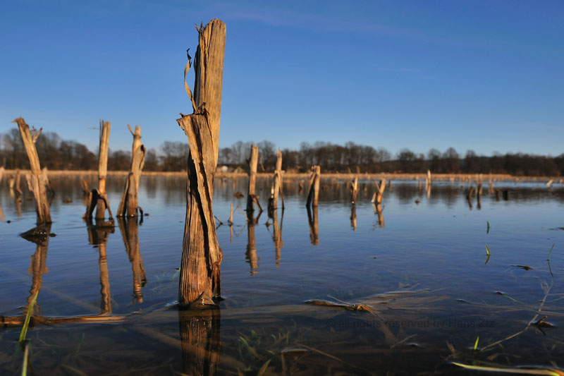 Land unter