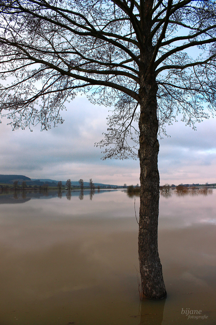 Land unter