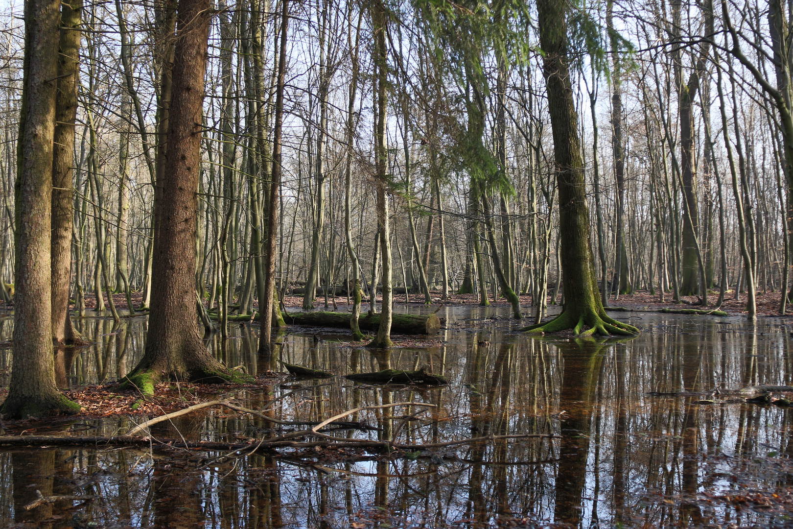 Land Unter