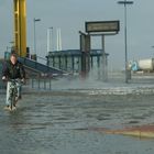 Land Unter Dagebüll III