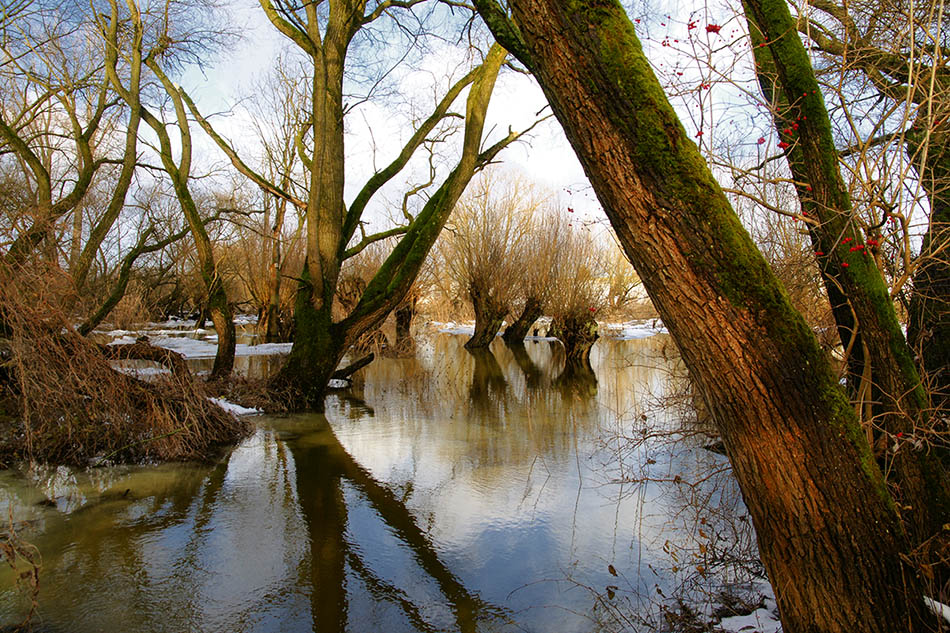 Land unter....