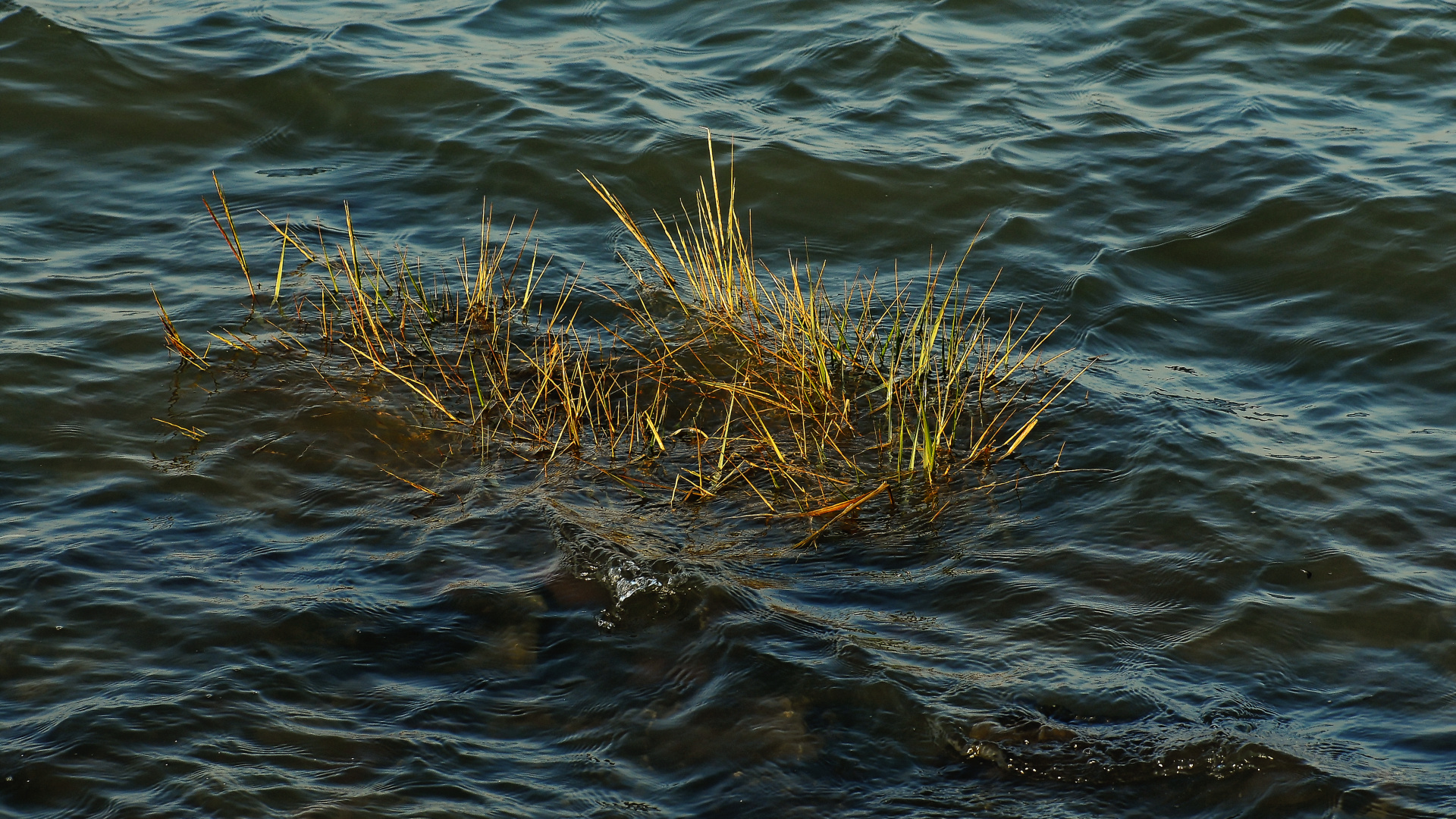 Land unter im Kleinen - 