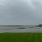 Land unter im kleinen Prielhafen von Spieka-Neufeld am 23.09.21 während des Nachmittag-Hochwassers.