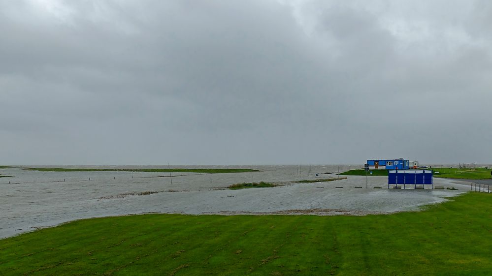 Land unter im kleinen Prielhafen von Spieka-Neufeld am 23.09.21 während des Nachmittag-Hochwassers.