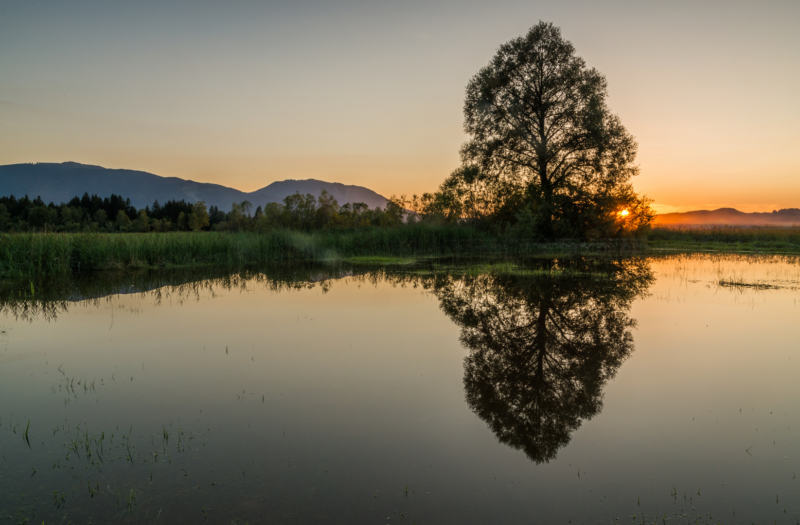 Land unter im Moos