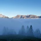 "Land unter" im Nebel