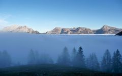 "Land unter" im Nebel