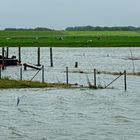 Land unter im Prielhafen von Spieka-Neufeld am 23.09.21 während des Nachmittag-Hochwassers.