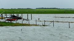 Land unter im Prielhafen von Spieka-Neufeld am 23.09.21 während des Nachmittag-Hochwassers.