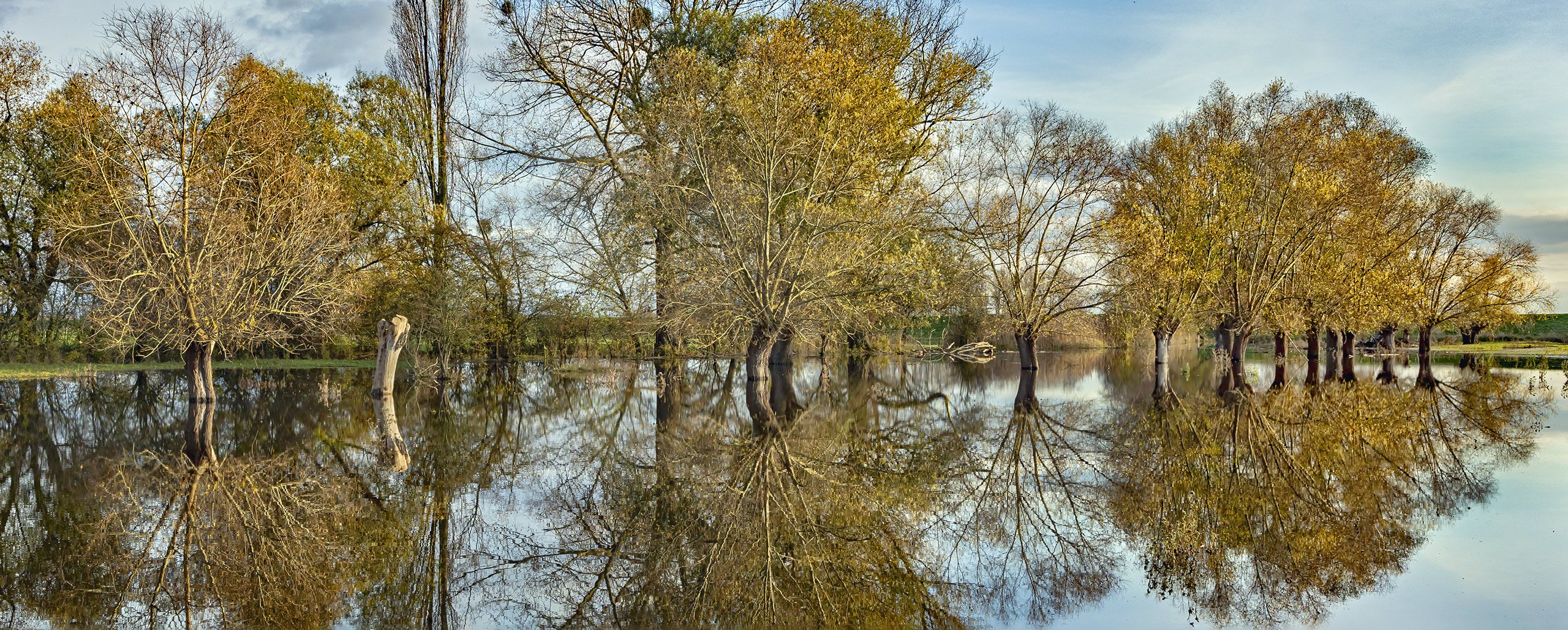 LAND UNTER in den Rheinauen bei Trebur (Landkreis Groß-Gerau)