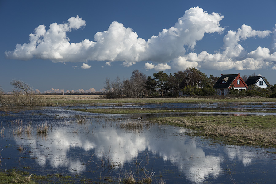 Land unter in der Dünenheide...