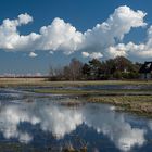 Land unter in der Dünenheide...