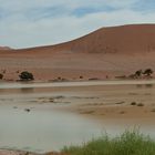 "Land unter" in der Namib