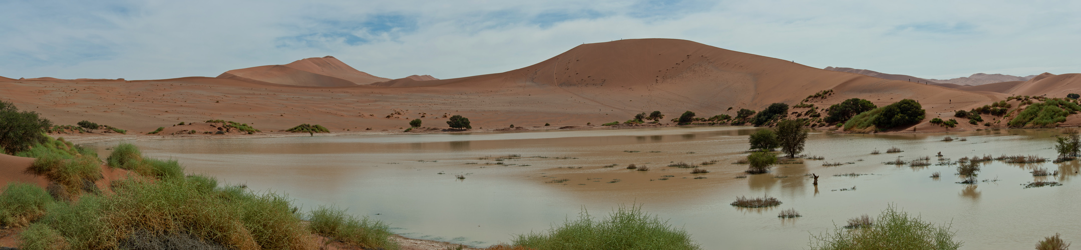 "Land unter" in der Namib