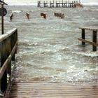 Land unter in St.Peter-Ording