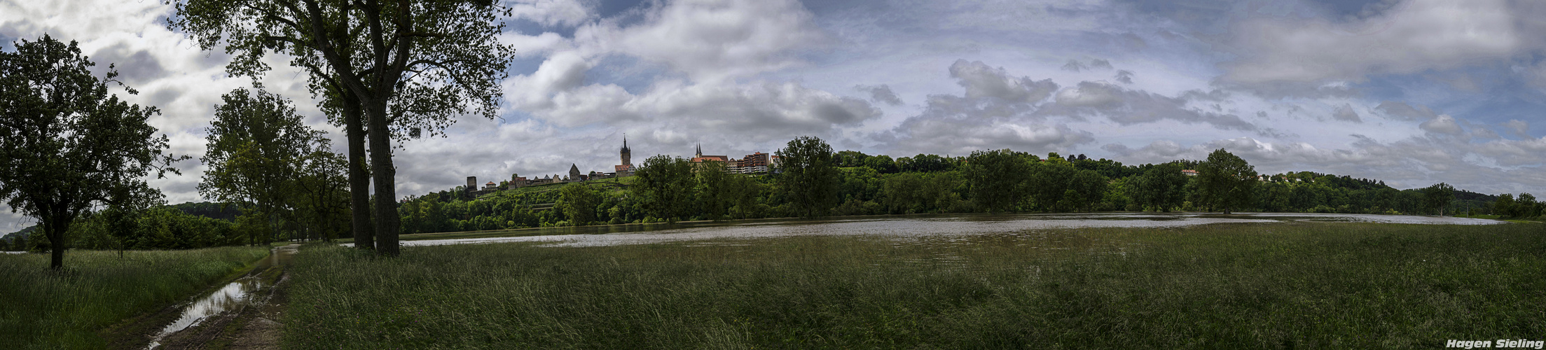 * * * Land unter in Wimpfen VI * * *