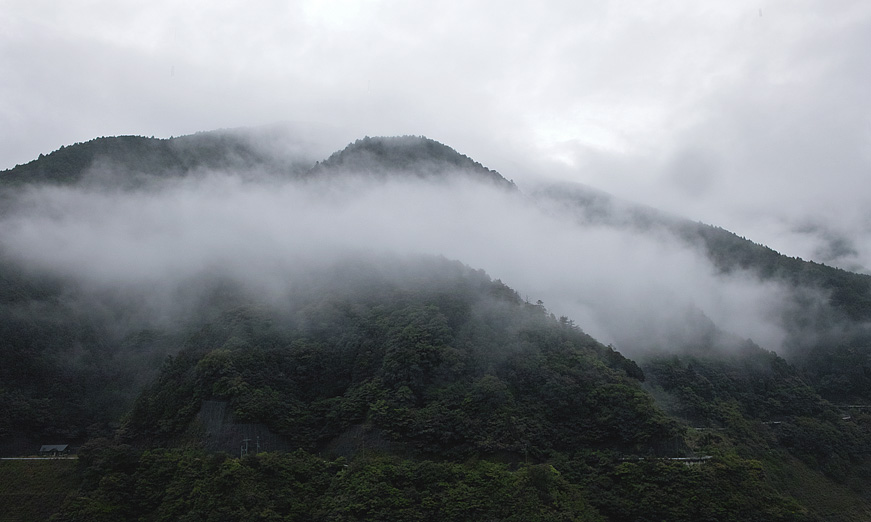 Land with foggy and water