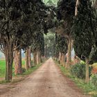 L'Andana di Castiglione della Pescaia