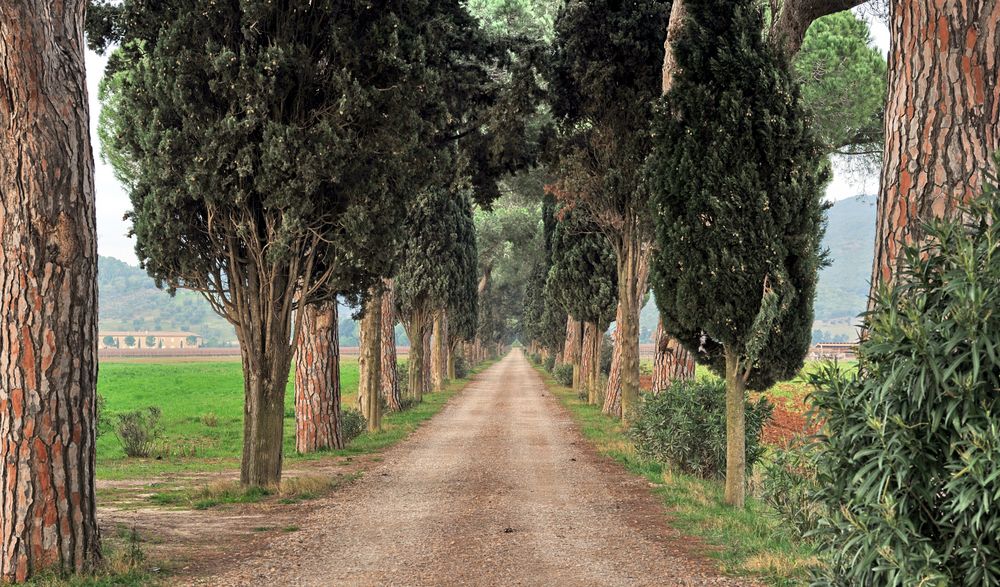 L'Andana di Castiglione della Pescaia