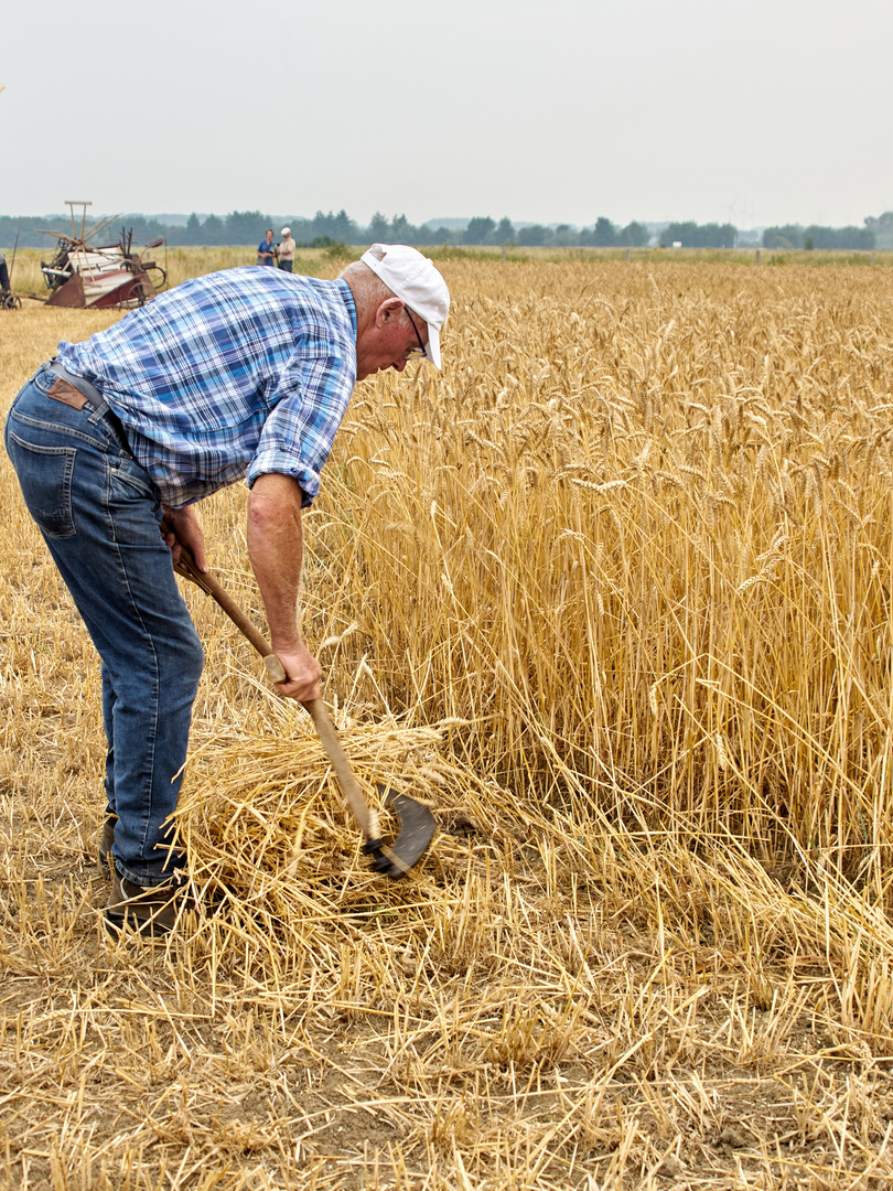 Landarbeit