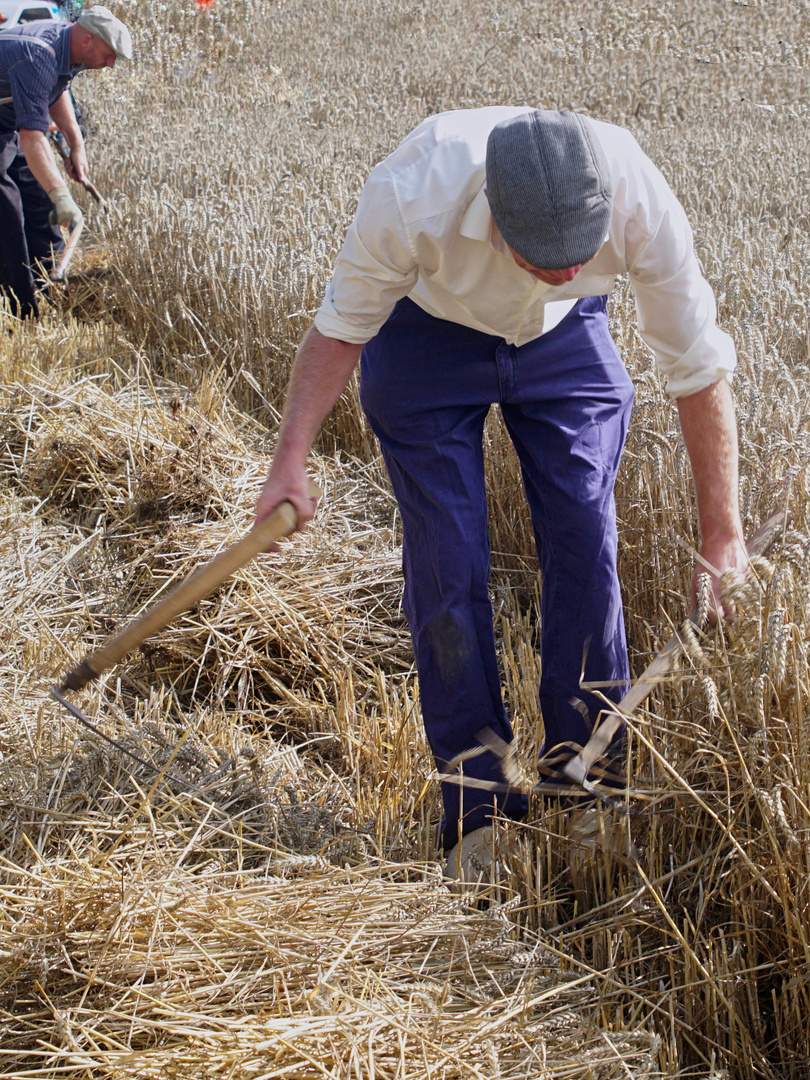 Landarbeit