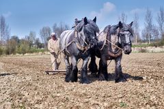 Landarbeit