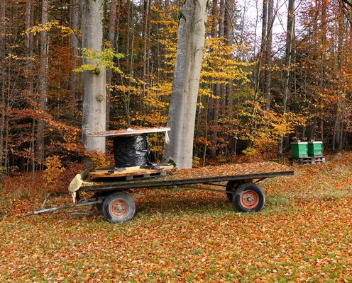 Landarbeit im Wandel der Zeit