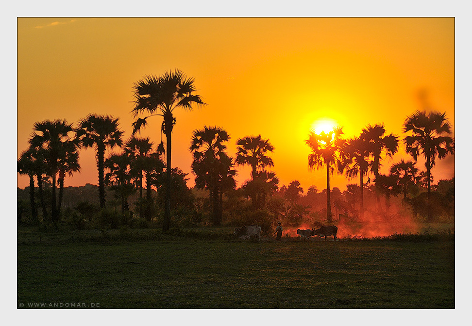 landarbeit in burma